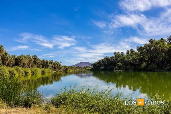Mexiko: Baja California Sur - unbekanntes Naturparadies