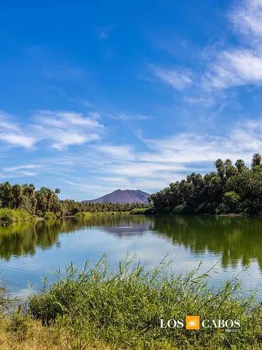 Mexiko: Baja California Sur - unbekanntes Naturparadies