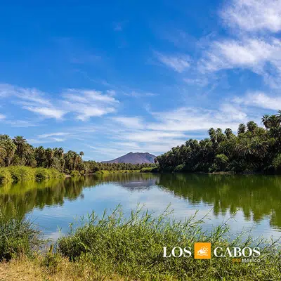 Mexiko: Baja California Sur - unbekanntes Naturparadies