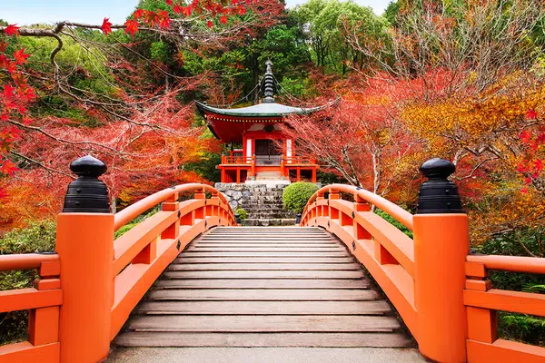 Höhepunkte Japans erleben