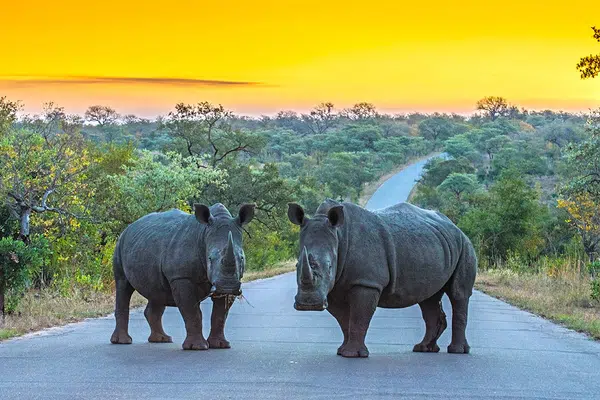 Südafrika ausführlich entdecken für Selbstfahrer